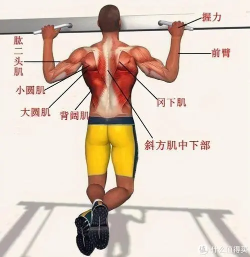 室内健身侧滑动作要领