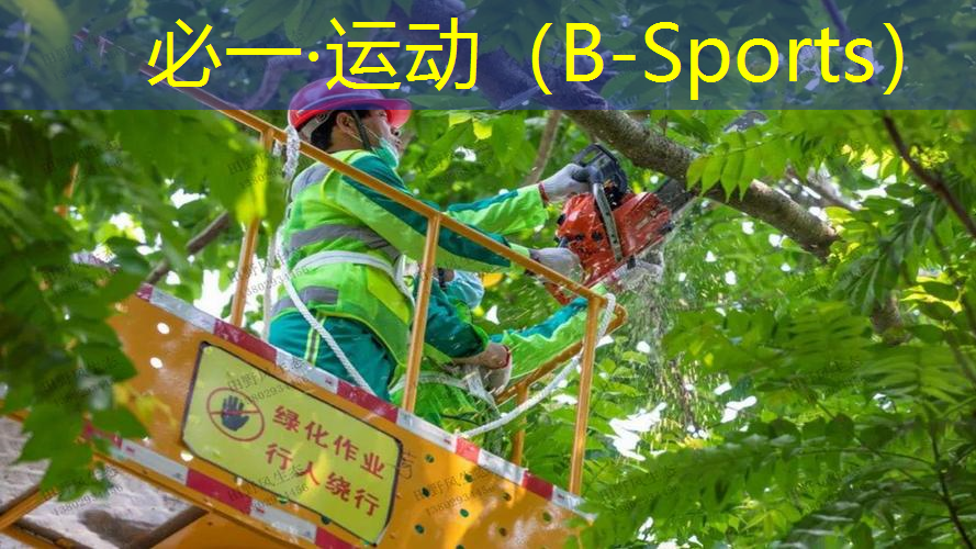 网球拍哑光和亮面怎么区分
