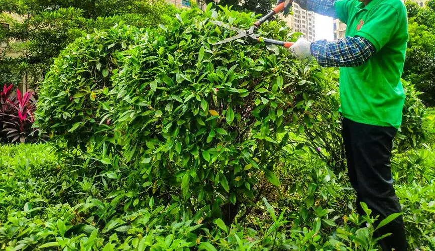 网球拍加铅片有什么作用