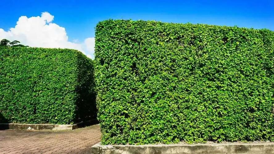 网球拍多重适合初学者穿