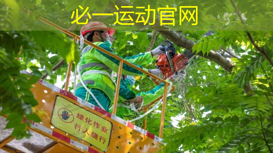 网球拍碳素一体单人